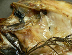 ��ʪ �Τɤ����Υ��꡼�֥�����Ƥ��쥷��
