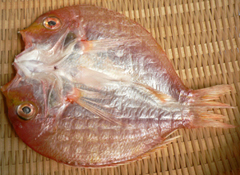 鯛5