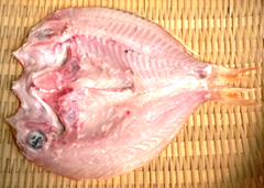 鯛6
