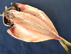 開アジ 2025年新物 島根県浜田産