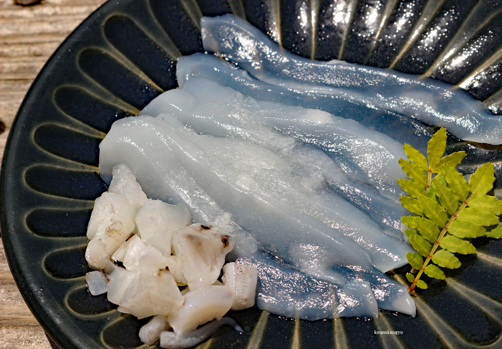 イカ お刺身