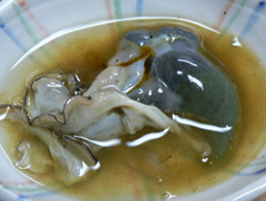 黒あわび9
