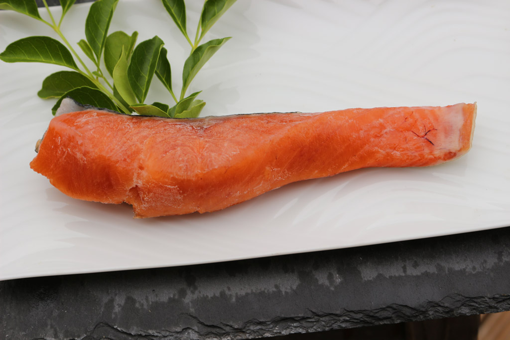 紅鮭