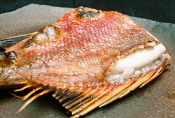 金目鯛