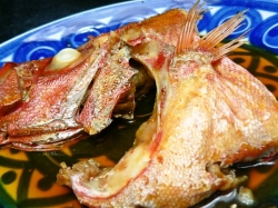 金目鯛