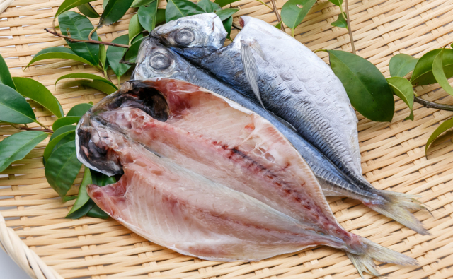 どんちっちアジ