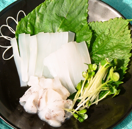白イカ お刺身