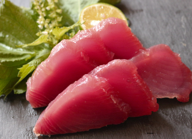 本ガツオ　迷い鰹