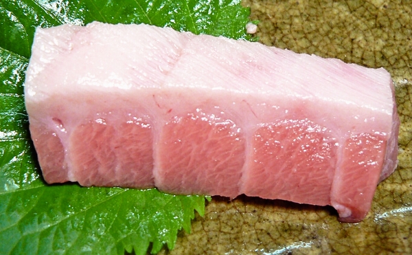 まぐろ大トロ