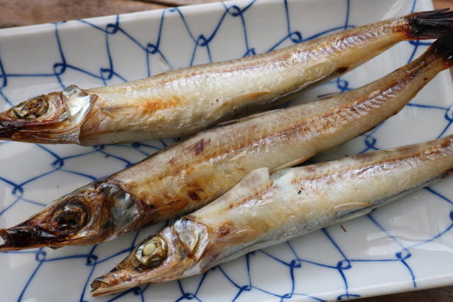 干物とんころ 沖キス 丸干し ５匹入 干物専門店 河野乾魚店