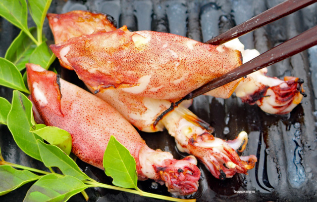 ヤリイカ丸干し